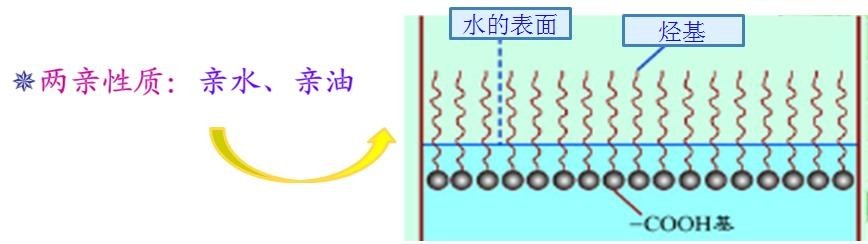 <a href='https://www.fssdss.com/product/product-0001,0011,0018.shtml' class='keys' title='点击查看关于润湿剂的相关信息' target='_blank'>润湿剂</a>